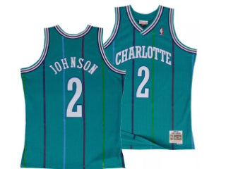 Charlotte Hornets Larry Johnson Blue 2